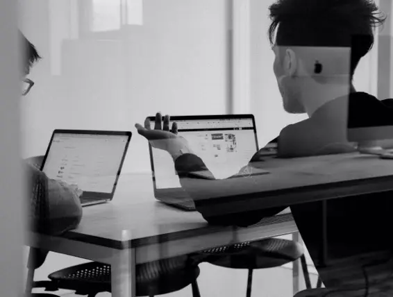 About SoftCado creative team